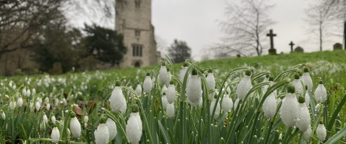 Snowdrops and church in Challock